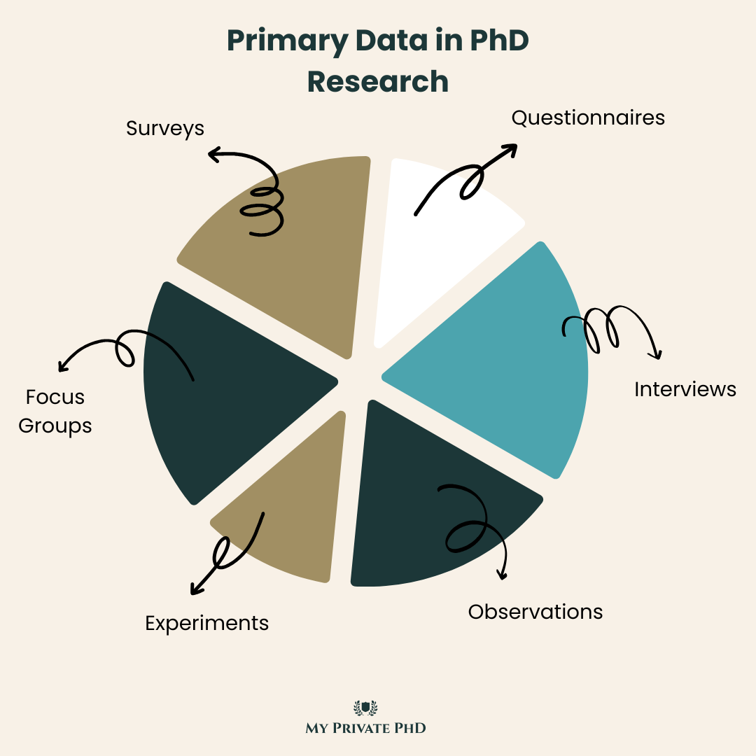 primary data infographic